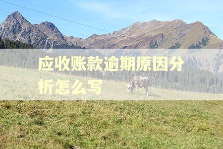 应收账款逾期原因分析怎么写