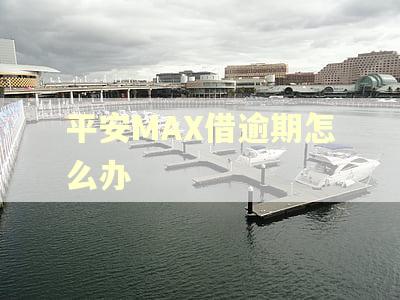 平安MAX借逾期怎么办