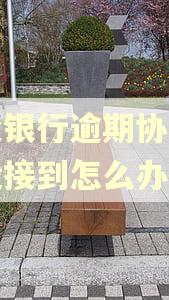 建设银行逾期协商电话没接到怎么办