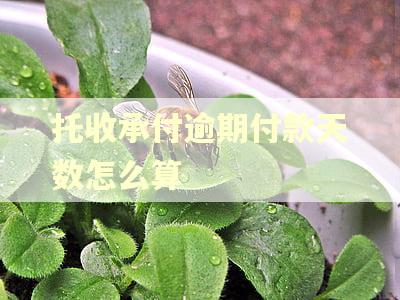 托收承付逾期付款天数怎么算