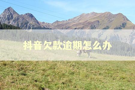 抖音欠款逾期怎么办