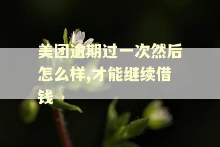 美团逾期过一次然后怎么样,才能继续借钱