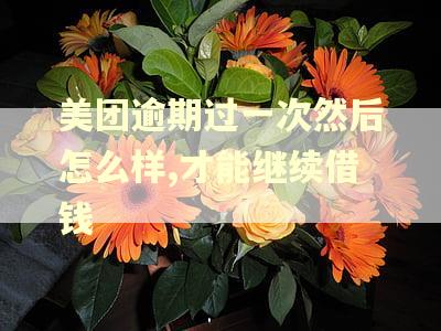 美团逾期过一次然后怎么样,才能继续借钱
