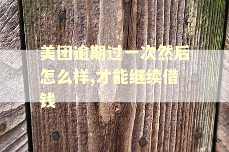 美团逾期过一次然后怎么样,才能继续借钱