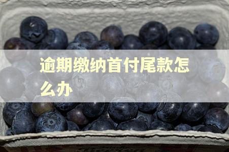 逾期缴纳首付尾款怎么办