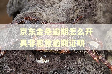 京东金条逾期怎么开具非恶意逾期证明