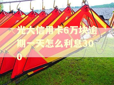 光大信用卡6万块逾期一天怎么利息300