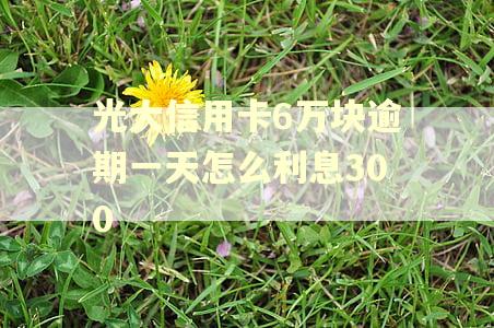 光大信用卡6万块逾期一天怎么利息300 光大信用卡6万块逾期一天怎么利息300