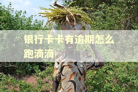 银行卡卡有逾期怎么跑滴滴