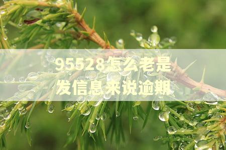 95528怎么老是发信息来说逾期
