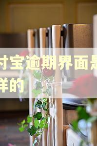 支付宝逾期界面是怎么样的
