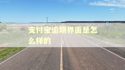 支付宝逾期界面是怎么样的