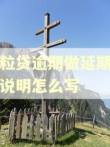 微粒贷逾期做延期情况说明怎么写
