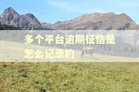 多个平台逾期征信是怎么记录的