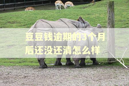 豆豆钱逾期的3个月后还没还清怎么样