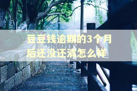 豆豆钱逾期的3个月后还没还清怎么样