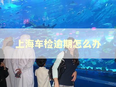 上海车检逾期怎么办