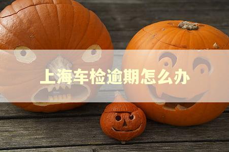 上海车检逾期怎么办