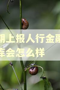 逾期上报人行金融数据库会怎么样