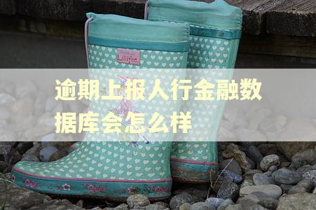 逾期上报人行金融数据库会怎么样