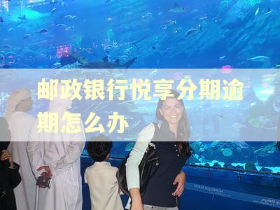 邮政银行悦享分期逾期怎么办