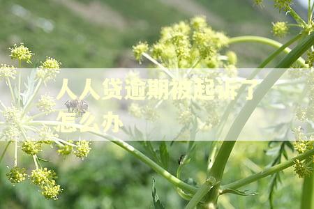 人人贷逾期被起诉了怎么办