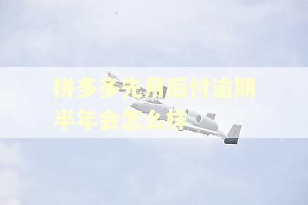 拼多多先用后付逾期半年会怎么样
