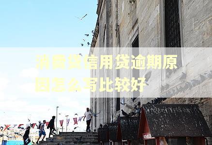 消费贷信用贷逾期原因怎么写比较好