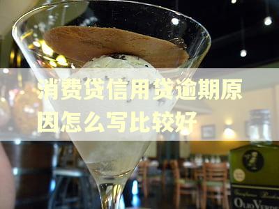 消费贷信用贷逾期原因怎么写比较好