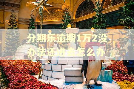 分期乐逾期1万2没办法还进去怎么办