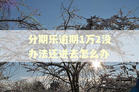分期乐逾期1万2没办法还进去怎么办