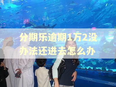 分期乐逾期1万2没办法还进去怎么办
