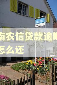 河南农信贷款逾期利息怎么还 河南农信贷款逾期利息怎么还