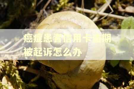 癌症患者信用卡逾期被起诉怎么办