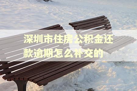 深圳市住房公积金还款逾期怎么补交的