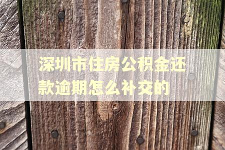 深圳市住房公积金还款逾期怎么补交的 深圳市住房公积金还款逾期怎么补交的
