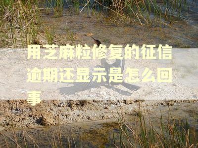 用芝麻粒修复的征信逾期还显示是怎么回事