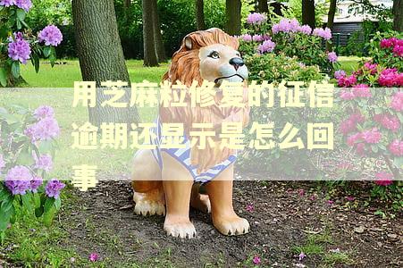 用芝麻粒修复的征信逾期还显示是怎么回事