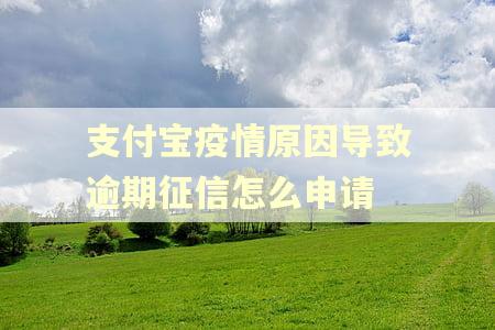 支付宝疫情原因导致逾期征信怎么申请