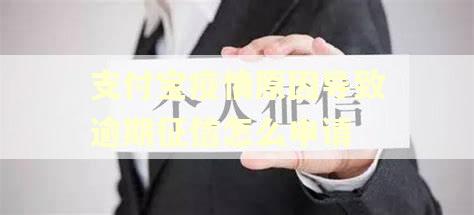 支付宝疫情原因导致逾期征信怎么申请