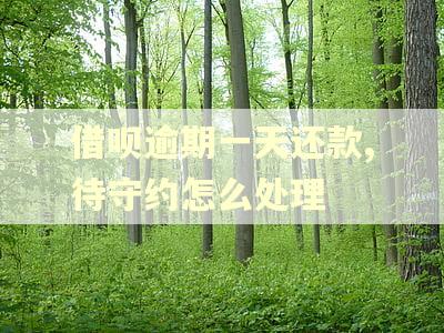 借呗逾期一天还款,待守约怎么处理