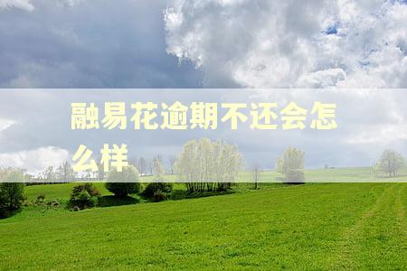 融易花逾期不还会怎么样