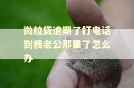 微粒贷逾期了打电话到我老公那里了怎么办