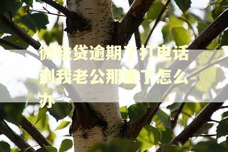 微粒贷逾期了打电话到我老公那里了怎么办