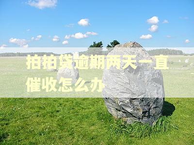 拍拍贷逾期两天一直催收怎么办