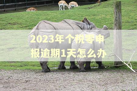 2023年个税零申报逾期1天怎么办