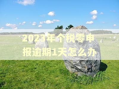 2023年个税零申报逾期1天怎么办