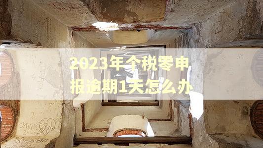 2023年个税零申报逾期1天怎么办