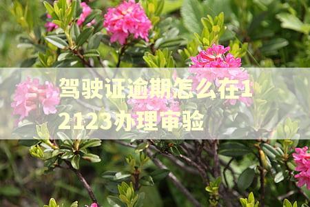 驾驶证逾期怎么在12123办理审验