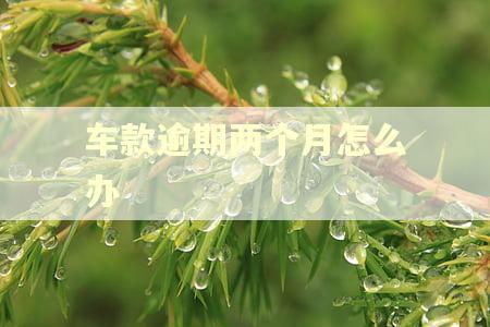 车款逾期两个月怎么办